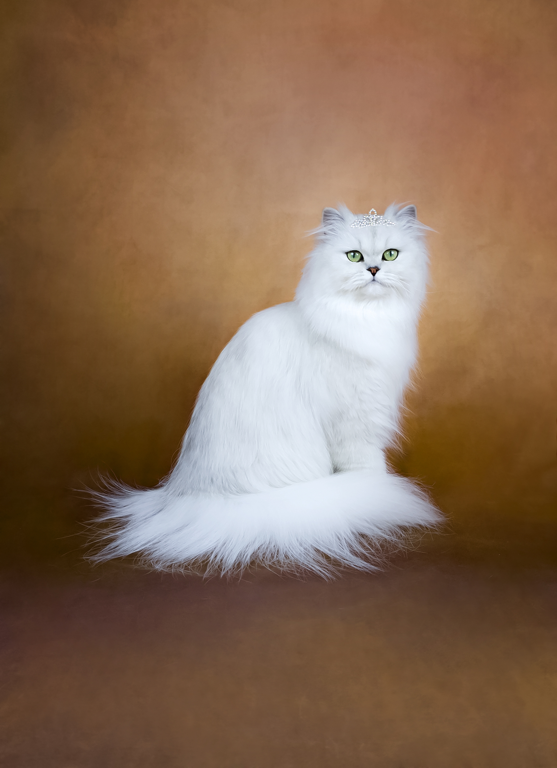Pearl-Bijou